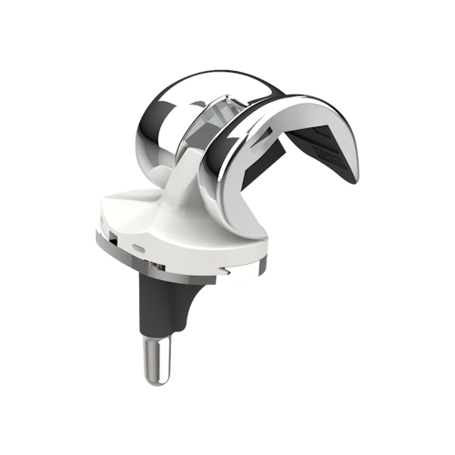 Knee Joint