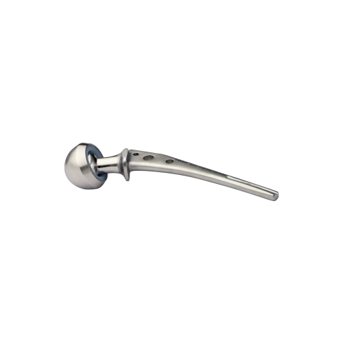 Hip Prosthesis